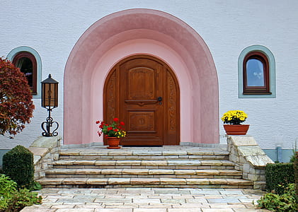 potted plants in front of closed door thumbnail