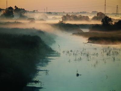 calm body of water surrounded by fogs during daytime thumbnail