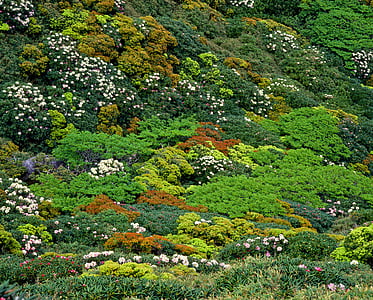 green fields thumbnail