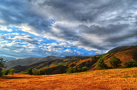 dried grass beside mountains thumbnail