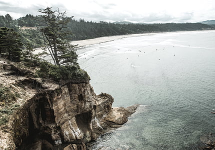 bird's eye view photography of tree near the cliff thumbnail