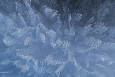 aerial photo of a green leafed trees thumbnail