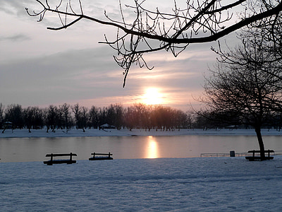 empty park benches facing body of water and bare trees thumbnail