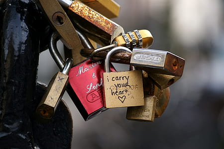 padlocks on steel bar thumbnail