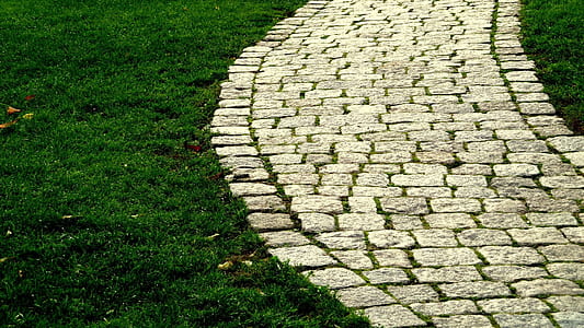 gray concrete brick pathway thumbnail