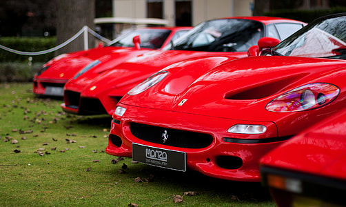 four red Ferrari parked on green grass thumbnail