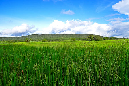 green grass field under cloudy sky at daytime thumbnail