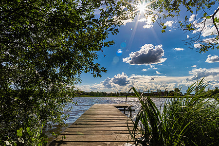 brown wooden dock in the middle of green grasses thumbnail