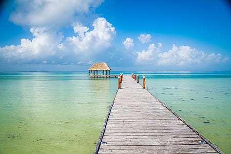 wooden dock bridge beside body of water thumbnail