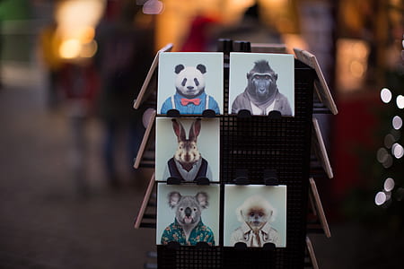 selective focus photography of five assorted posters thumbnail