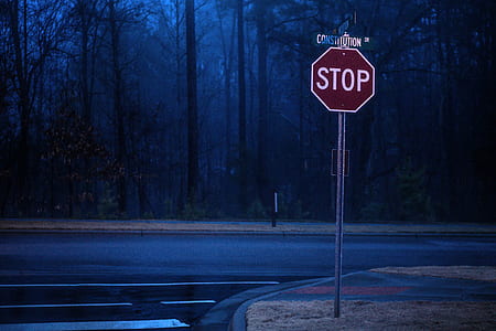 red Stop road signage beside road near trees thumbnail