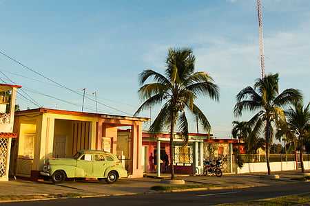 green vehicle park ahead beside house and palm trees thumbnail