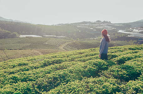Person Wearing Red Knit Cap Looking in Front of Field thumbnail