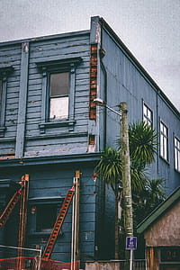 Blue and House and Green Tree thumbnail