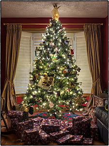 assorted purple gift boxes under green pre-lit tree thumbnail