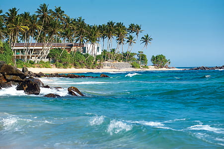 sea, beach, vacation, sand thumbnail
