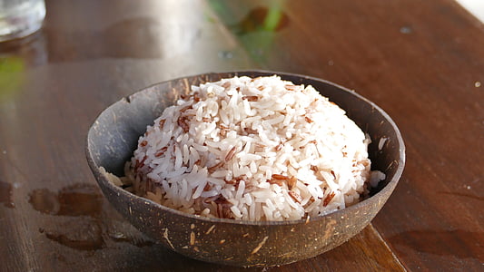 bowl of rice thumbnail