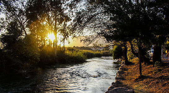 River With Tress during Sunny Clear Sky thumbnail