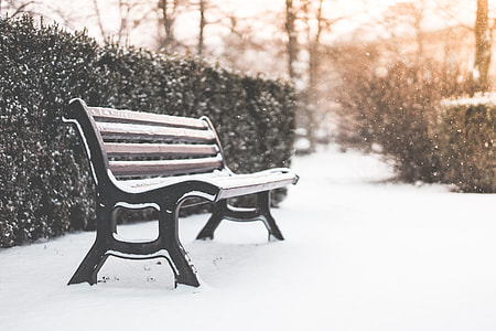Bench in a Park and Snowy Weather thumbnail