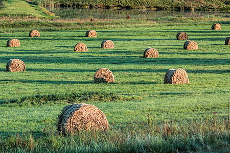 roll of hays on green grass field thumbnail