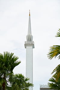 white tower near palm trees thumbnail