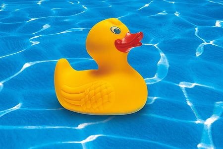 yellow rubber ducky in water thumbnail