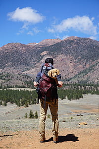 Person Carrying Red Backpack With Yellow Labrador Retriever Puppy Walking to the Forest thumbnail