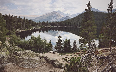 landscape photography of lake surrounded by trees thumbnail