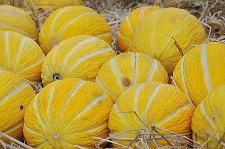 yellow and white fruits thumbnail