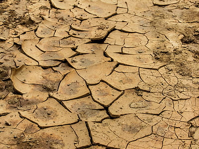 dried brown soil at daytime thumbnail