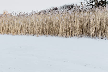 In middle of frozen lake thumbnail