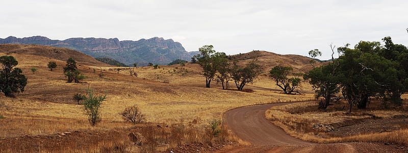 road near trees in distant of mountain thumbnail