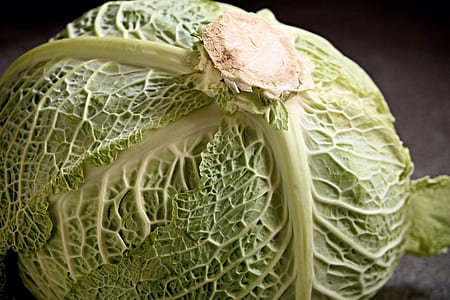focus photo of green cabbage vegetable thumbnail