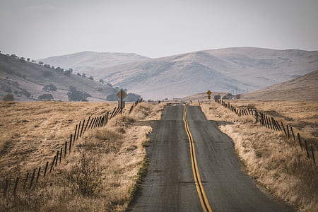 road in between brown field thumbnail