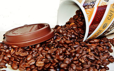 bunch of coffee beans spilled from cup thumbnail