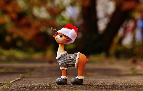 closeup photo of deer with santa's hat figurine thumbnail