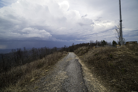 Trail landscape at the top under the clouds at Sassafras Mountain, South Carolina thumbnail