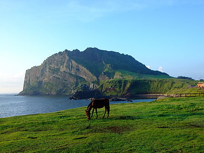 brown horse on grass field near body of water thumbnail