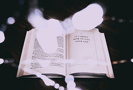 bokeh lights with opened book thumbnail