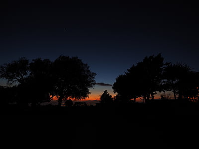 silhouette photography of trees during nighttime thumbnail