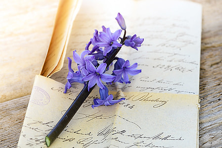 photo of Ruellia flower on paper thumbnail