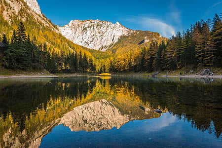 reflection photography of trees and rock formation thumbnail
