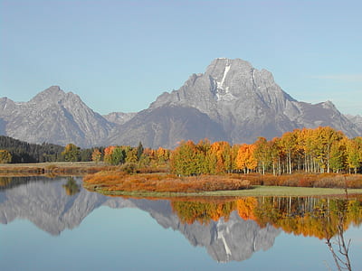 orange and green trees across the mountain thumbnail