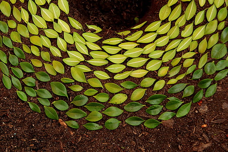 green leaves artwork thumbnail