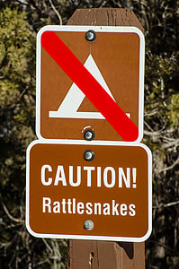 Caution Rattlesnakes, Rattlesnake thumbnail