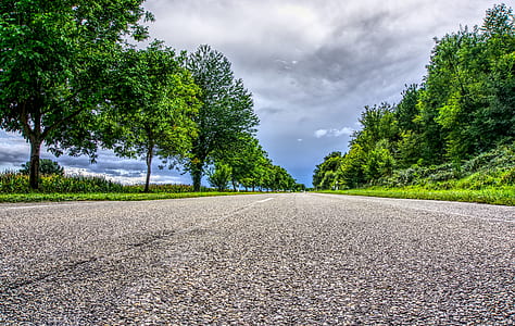 worm's-eye view of road in between trees under cloudy sky thumbnail