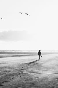 person walking on sand with birds flying over thumbnail