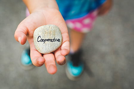 photography of Cooperative stone thumbnail