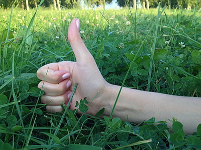 thumb sign on grass thumbnail