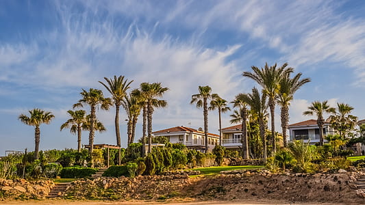 sky, clouds, garden, house thumbnail